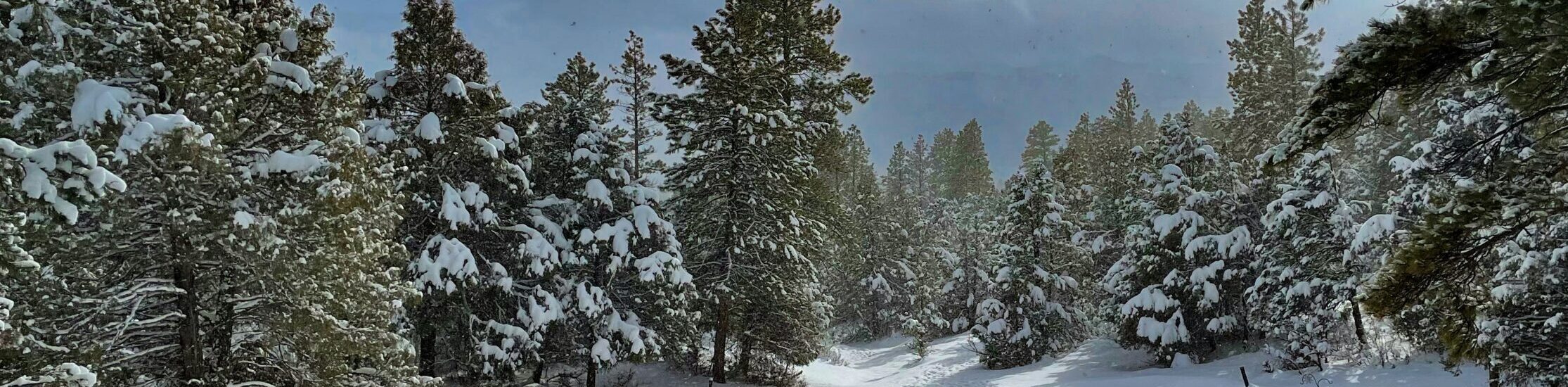 Durango, CO - Gospel Church Durango